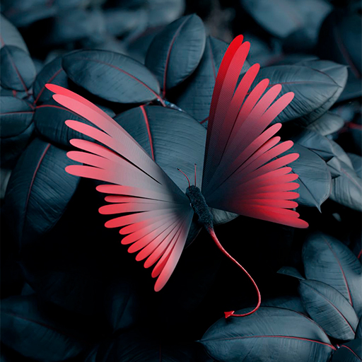 Butterfly Wallpapers