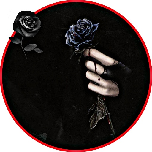 black rose wallpaper full hd