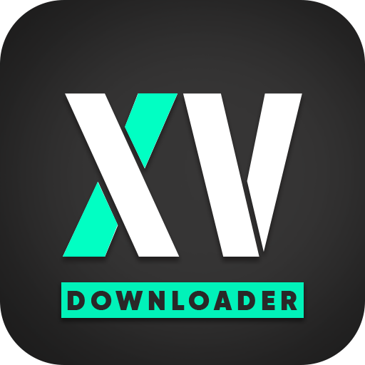 Private Video Downloader