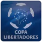 Copa Libertadores 2013