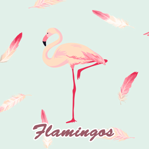 Cute Wallpaper Flamingos Tema