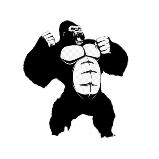 King Kong VPN Internet 4G 5G