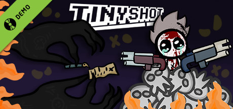 TinyShot Demo
