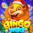 Bingo Wild - Jogos de bingo