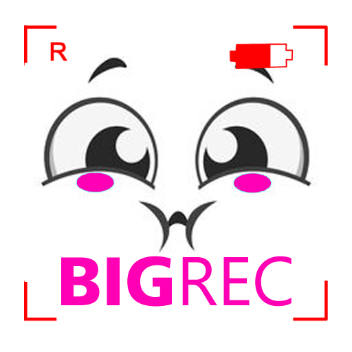 BigREC | Bigo Host Action Reco