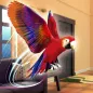 My Pet World Parrot Simulator-