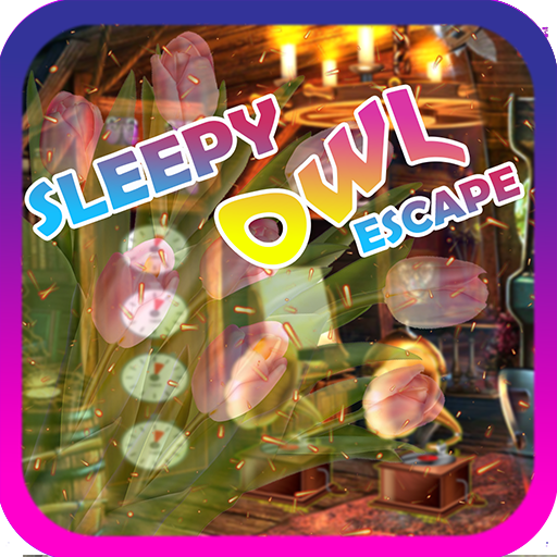 Sleepy Owl Escape Game - A2Z E