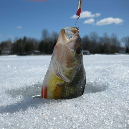 Зимняя рыбалка. Справочник рыбака по зимней ловле