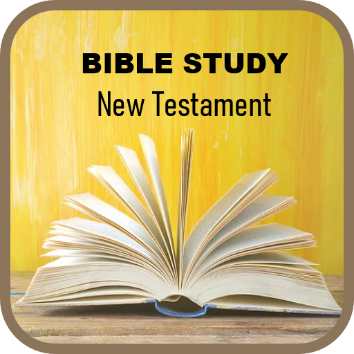 New Testament Bible Study Book