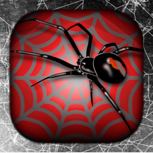 Spider Live Wallpaper | Örümce