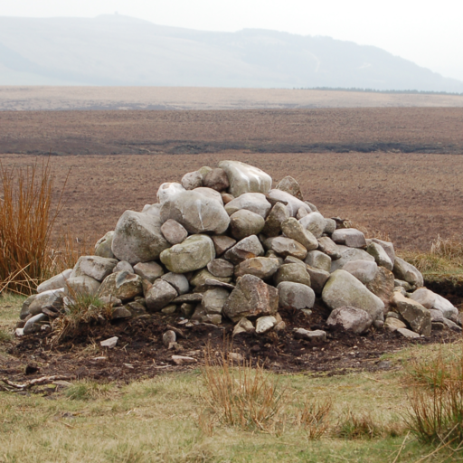 Neolithic settlements