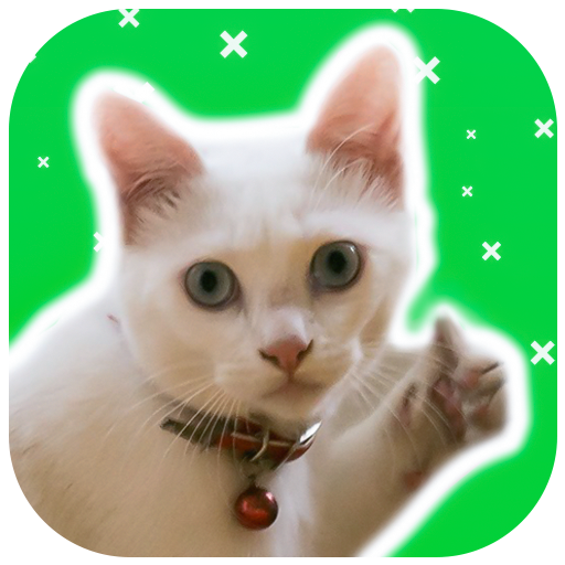 Funny Cat Stickers