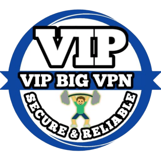 VIP BIG VPN