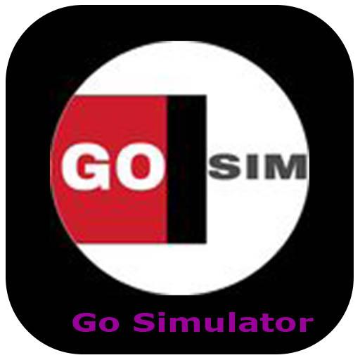 Go Simulator