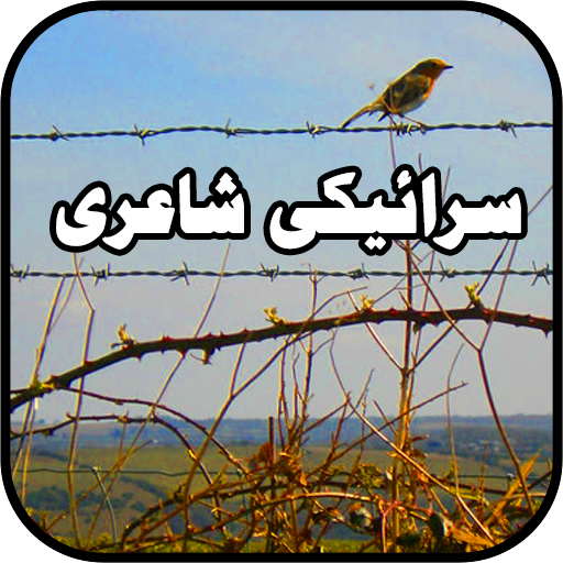 Saraiki Status: سرائیکی شاعری