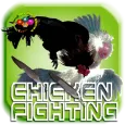 Chicken fighting game