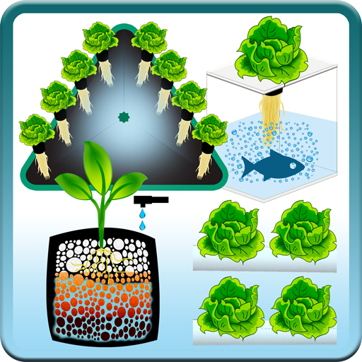 Tech Hydroponic  - Técnicas Hi