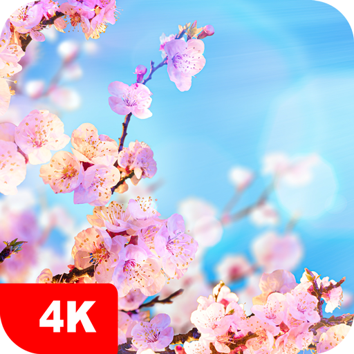 Papéis de parede primavera 4K