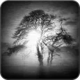 Distorted Video & Image