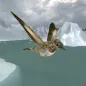 Sparrows Bird Fly Sky Sim 3d