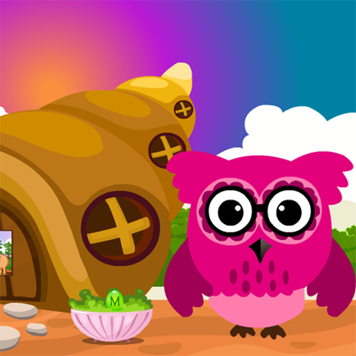 Pink Owl Rescue 3 Best Escape Game-298