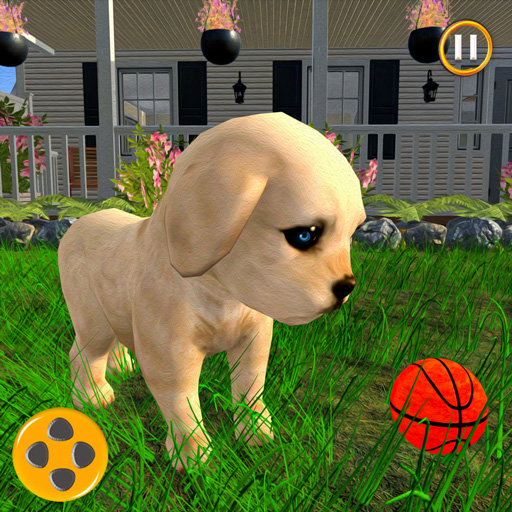 Virtual Pet Puppy