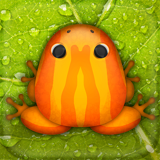 Pocket Frogs: Tiny Pond Keeper